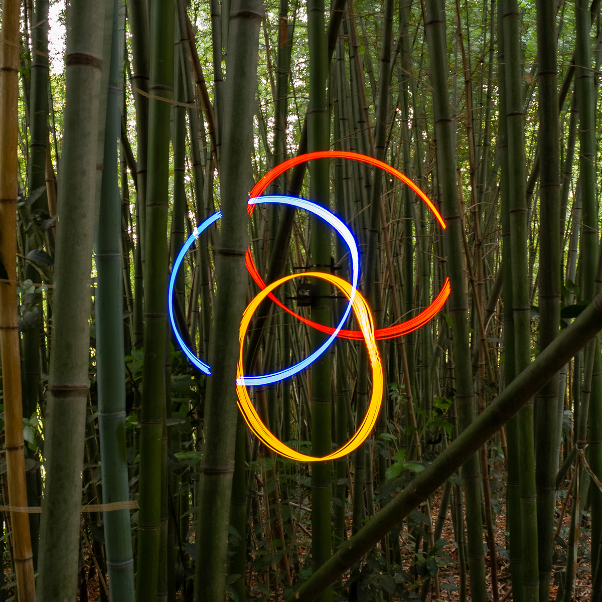 Fotospirografia 02 di Francesco Capponi