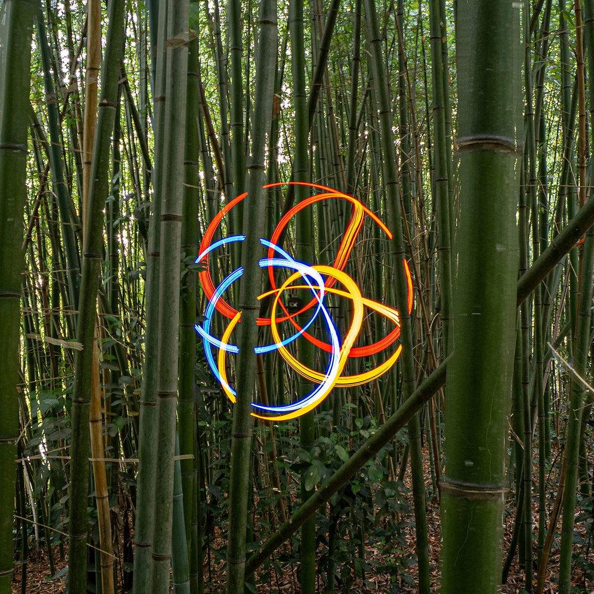 Fotospirografia 03 di Francesco Capponi